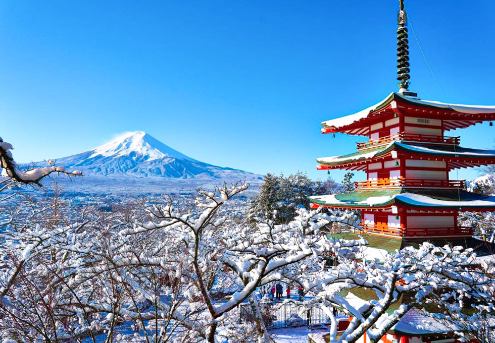 TOUR NHẬT BẢN TẾT 2027: TOKYO - NÚI PHÚ SĨ - KYOTO - OSAKA - TRƯỢT TUYẾT BAY VNA